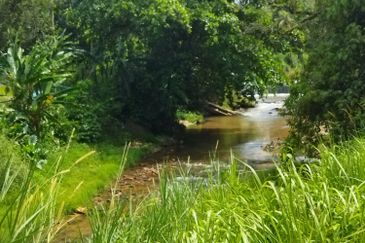 Tanah 4 Ekar Non Bumi Ulu Yam Batang Kali. Landai.