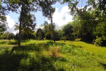 2 Ekar Tanah Dusun Buahan Batu Penunggul Jln Genting Batang Kali