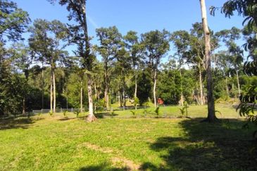 2 Ekar Tanah Dusun Buahan Batu Penunggul Jln Genting Batang Kali