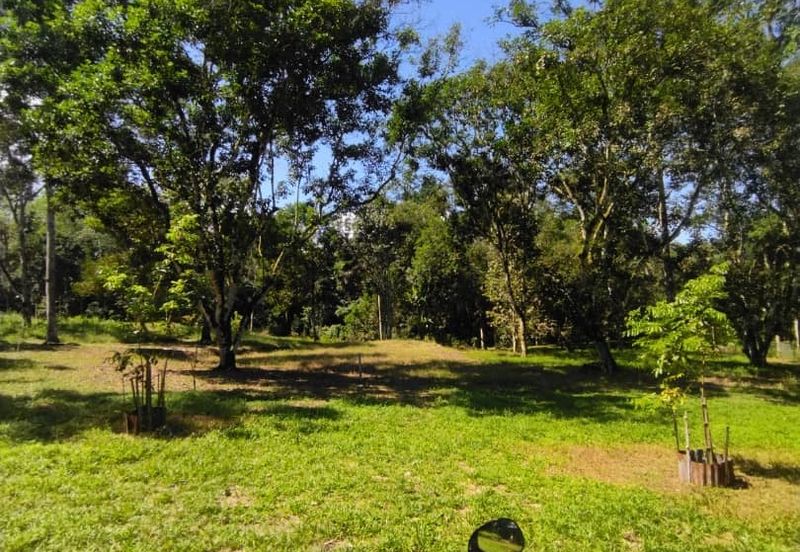 2 Ekar Tanah Dusun Buahan Batu Penunggul Jln Genting Batang Kali