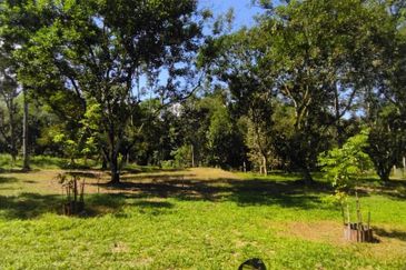 2 Ekar Tanah Dusun Buahan Batu Penunggul Jln Genting Batang Kali