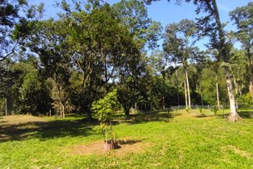 2 Ekar Tanah Dusun Buahan Batu Penunggul Jln Genting Batang Kali