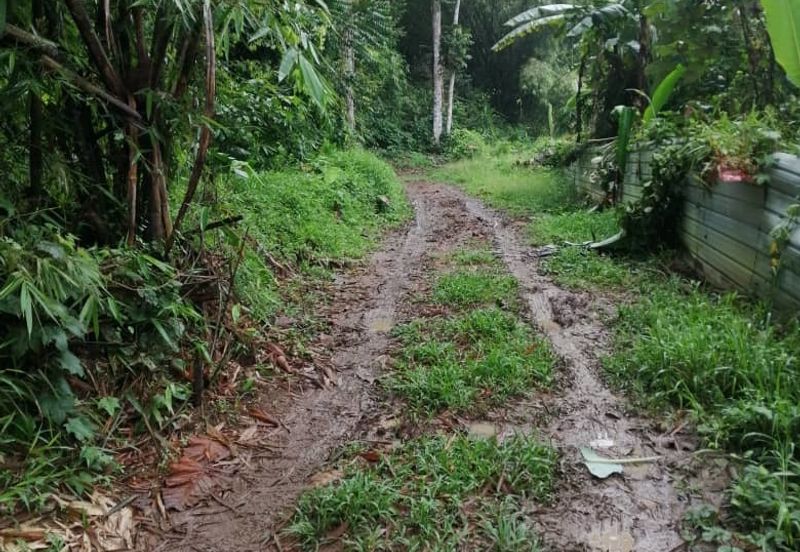 2 Ekar Tanah Dusun Buahan Batu Penunggul Jln Genting Batang Kali