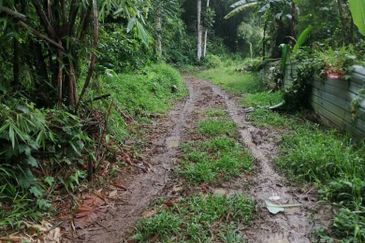 2 Ekar Tanah Dusun Buahan Batu Penunggul Jln Genting Batang Kali