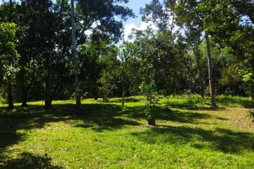 2 Ekar Tanah Dusun Buahan Batu Penunggul Jln Genting Batang Kali