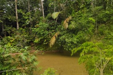 Batang Kali Malay Reservation