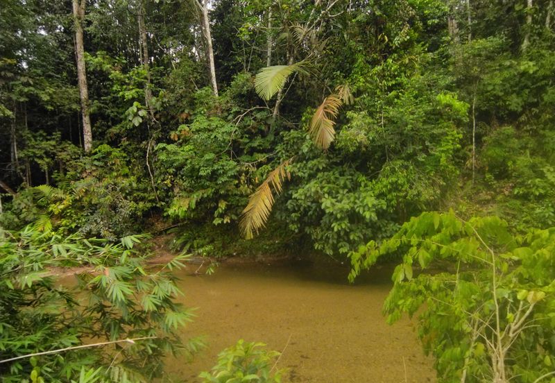 Batang Kali Malay Reservation