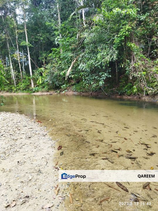 1.85 Ekar Hulu Rening Batang Kali sungai Cantik, Selangor, Hulu Selangor
