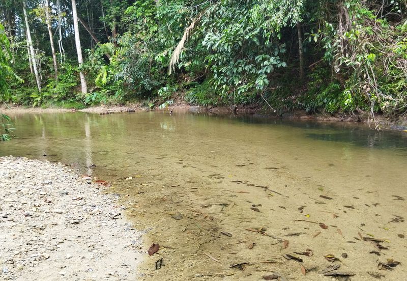 Batang Kali Malay Reservation