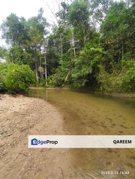 1.85 Ekar Hulu Rening Batang Kali sungai Cantik, Selangor, Hulu Selangor