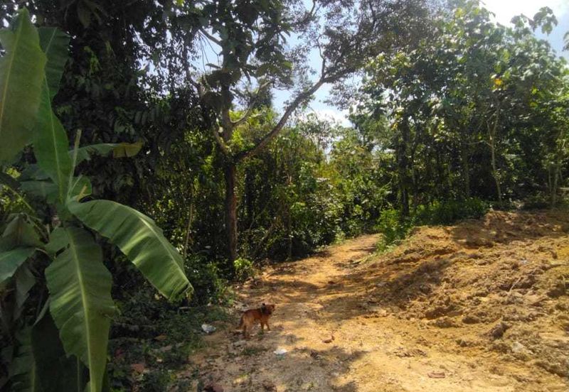 Kampung Melayu Sungai Buloh