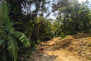 Kampung Melayu Sungai Buloh