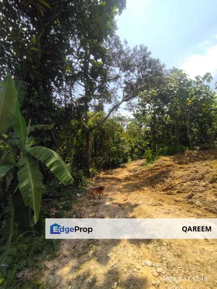 2 Acres Agriculture  Bandar Baru Sungai Buloh Zoning Industri, Selangor, Sungai Buloh