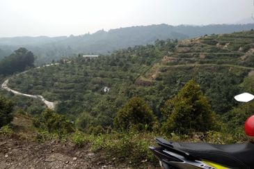 Batang Kali Malay Reservation