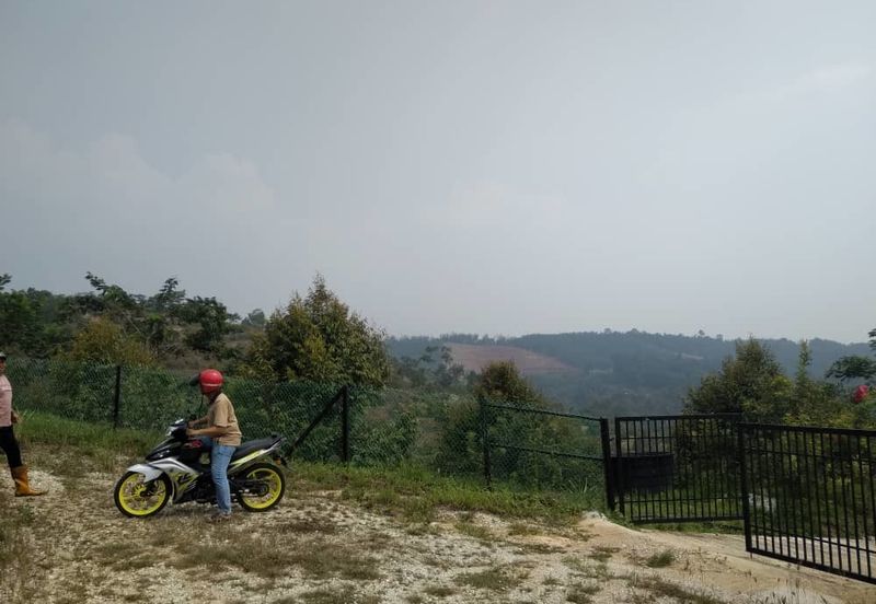 Batang Kali Malay Reservation