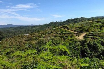 Batang Kali Malay Reservation