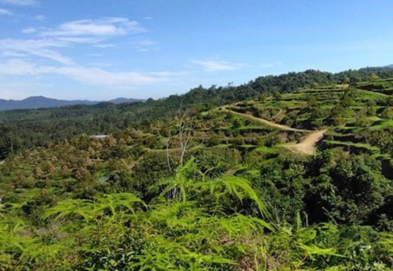 Batang Kali Malay Reservation