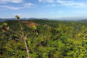 Batang Kali Malay Reservation