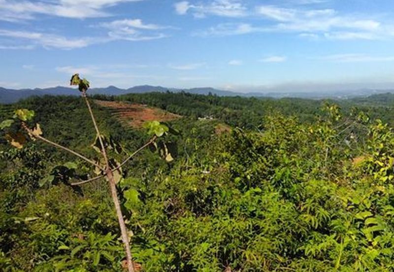 Batang Kali Malay Reservation