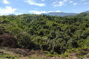 Batang Kali Malay Reservation