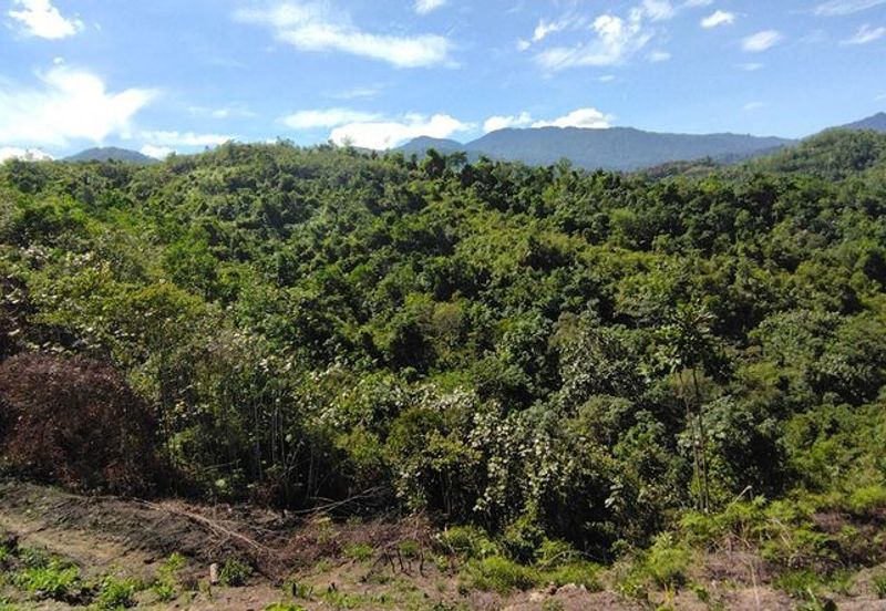 Batang Kali Malay Reservation