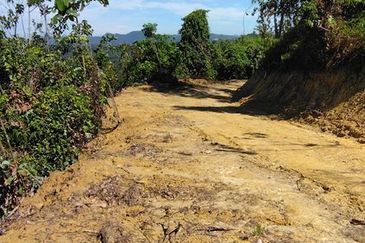 Batang Kali Malay Reservation