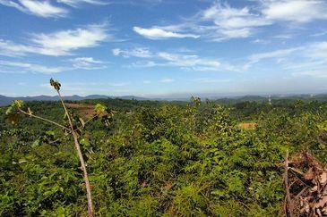 Batang Kali Malay Reservation