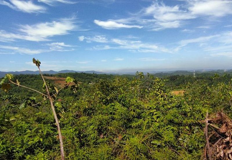 Batang Kali Malay Reservation