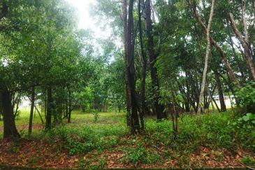 Putra Crest @ Putra Heights