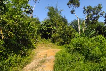 Batang Kali Malay Reservation