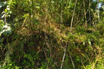 Batang Kali Malay Reservation