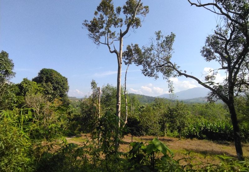 Batang Kali Malay Reservation