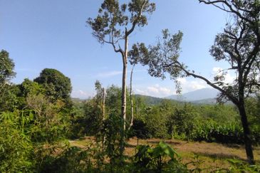 Batang Kali Malay Reservation