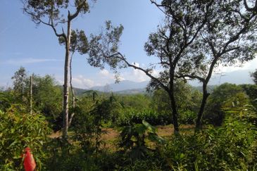 Batang Kali Malay Reservation