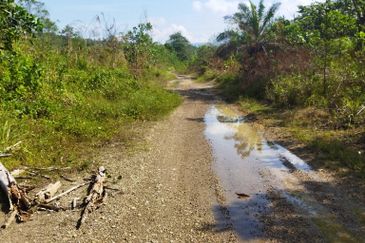 Batang Kali Malay Reservation