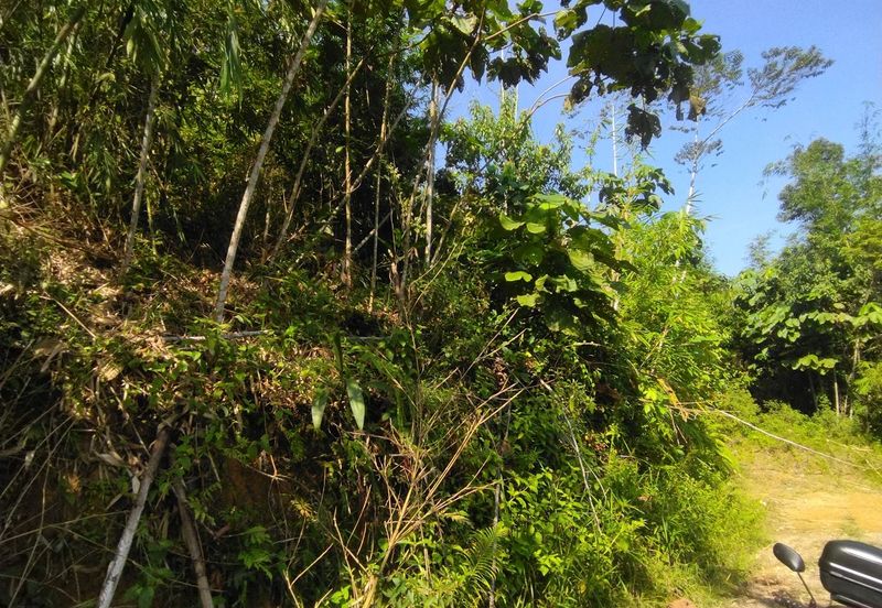 Batang Kali Malay Reservation