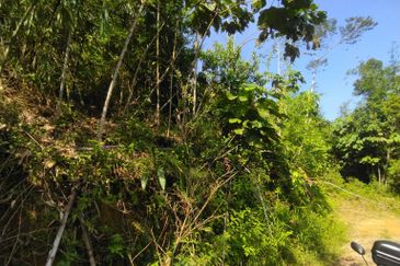 Batang Kali Malay Reservation