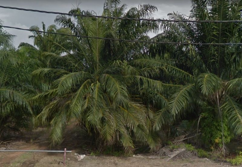 Jalan Kampung Bukit Jeram