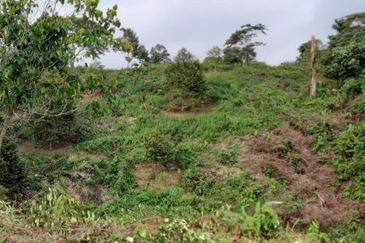 3 Ekar Dusun Durian dan Buahan Batu 14 Jln Kuari Hulu Langat