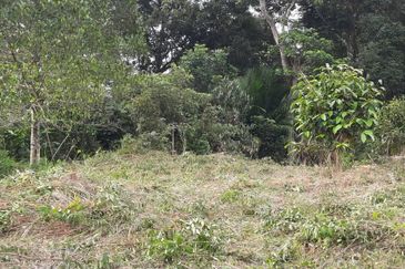 3 Ekar Dusun Durian dan Buahan Batu 14 Jln Kuari Hulu Langat