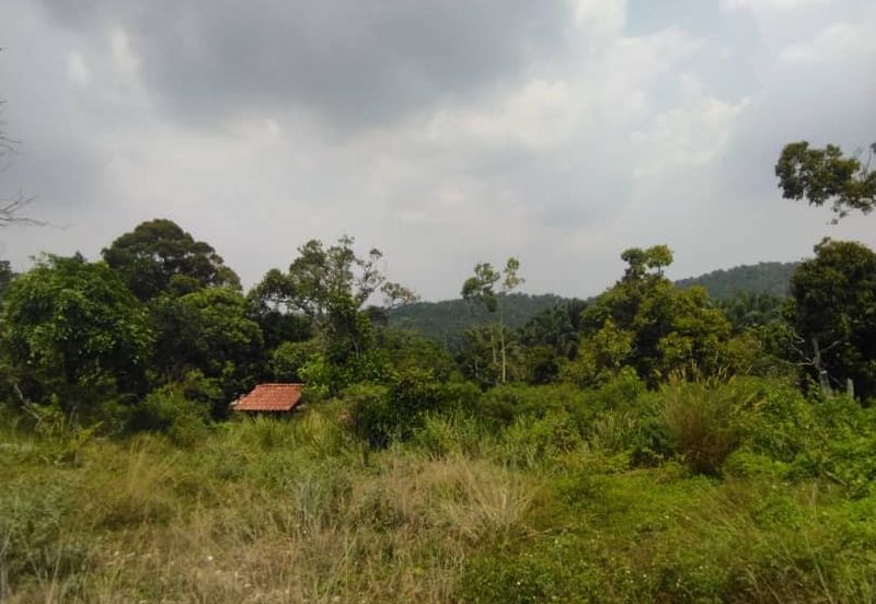 HillPark Avenue @ Puncak Alam