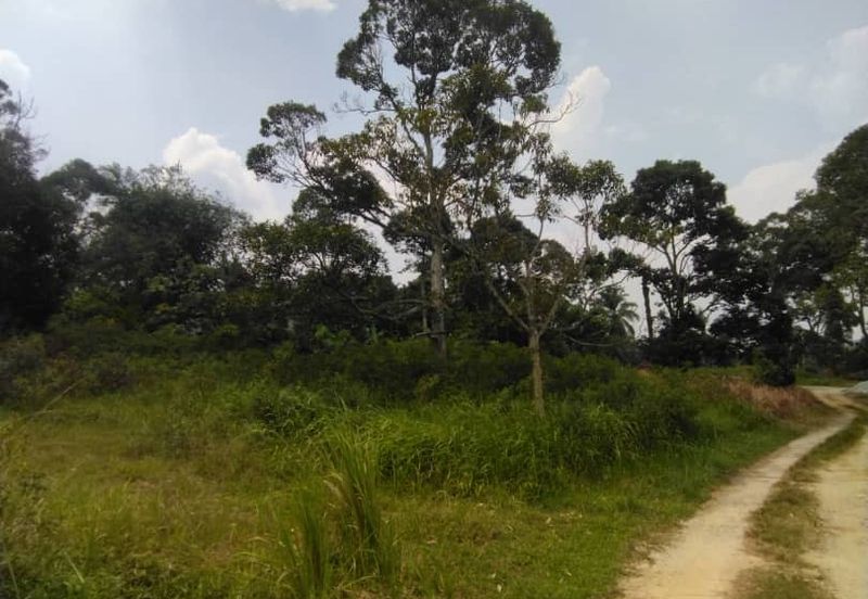 HillPark Avenue @ Puncak Alam