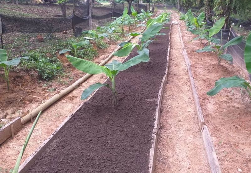 HillPark Avenue @ Puncak Alam