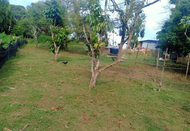 HillPark Avenue @ Puncak Alam