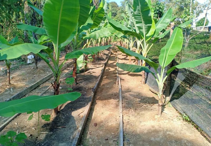 HillPark Avenue @ Puncak Alam