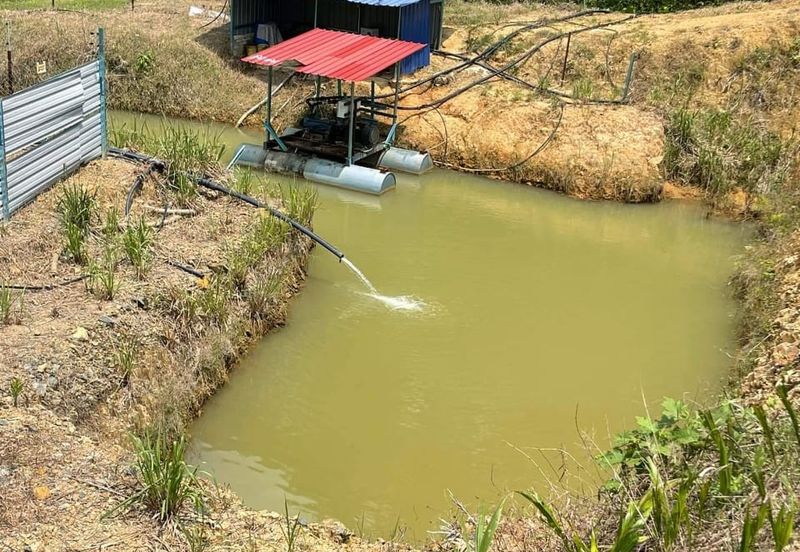 81 Acres Durian Orchad Land Dangi Negeri Sembilan. Total 3162 Durian Trees