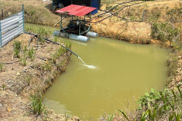 81 Acres Durian Orchad Land Dangi Negeri Sembilan. Total 3162 Durian Trees