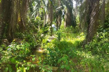 Tanah Pertanian 6 ekar Lebu Bentong Pahang. Berhampiran Highway CSR