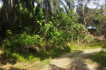 Tanah Pertanian 6 ekar Lebu Bentong Pahang. Berhampiran Highway CSR