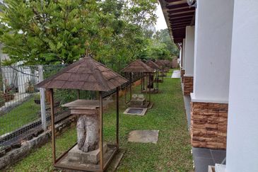 Ligamas @ Batang Kali